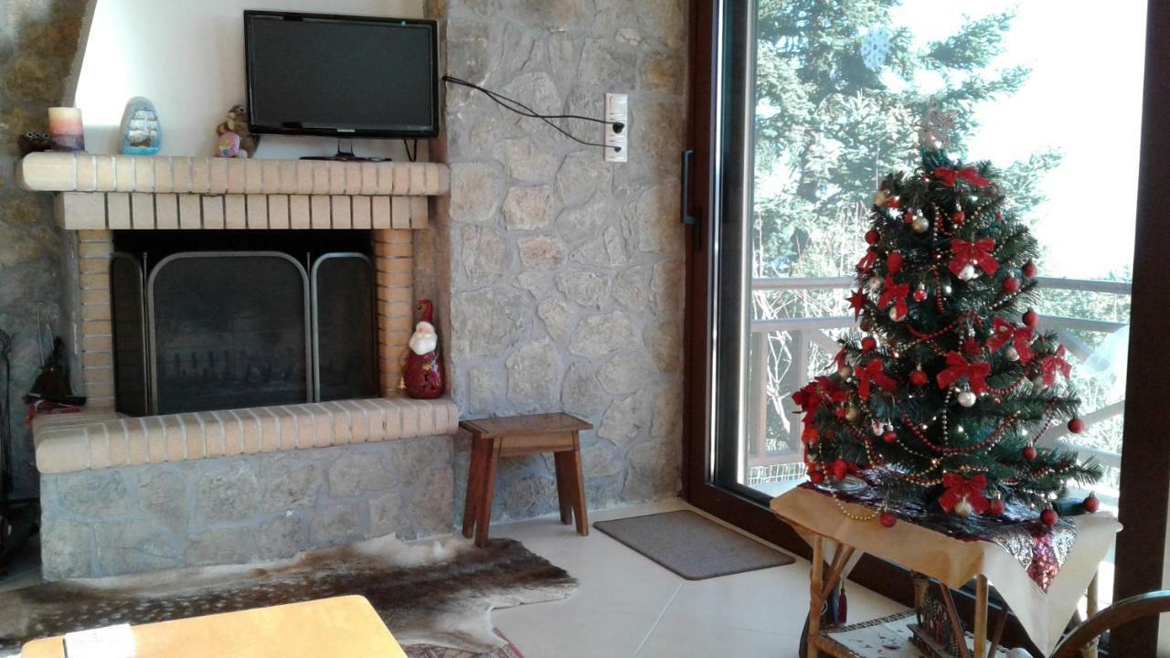Elatos Cozy Studio Ano Trikala Eksteriør billede